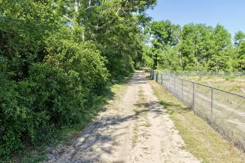 496 NE Centaury Way, Lee, FL 32059 photo 20