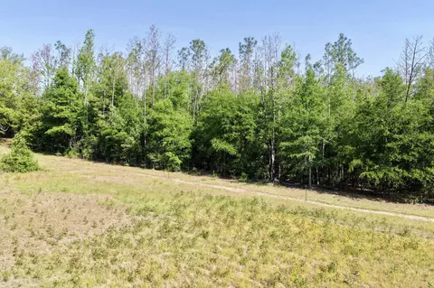 496 NE Centaury Way, Lee, FL 32059 photo 6