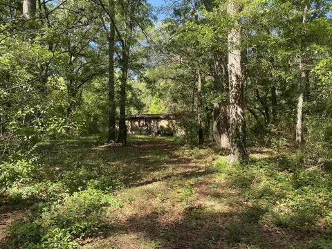 6984 Red Gum Ct, Tallahassee, FL 32303