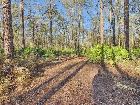 465 NE River Ridge Way, Lee, FL 32059