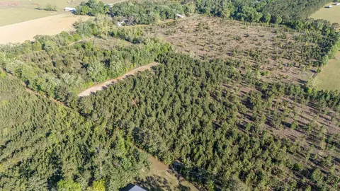 49 Will White Rd, Quincy, FL 32351 photo 37