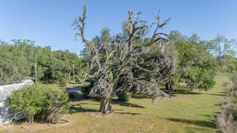 49 Will White Rd, Quincy, FL 32351 photo 43