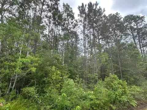 Nn N 15th Avenue, Other Florida, FL 32583