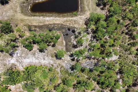 View/Area - 2151 Politic Rd, Perry, FL 32348 photo 2 of 9
