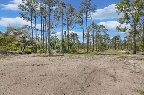 Other - 2151 Politic Rd, Perry, FL 32348 photo 15 of 24