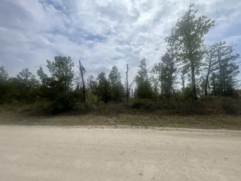 0 E Royal Oak Dr, Keaton Beach, FL 32348