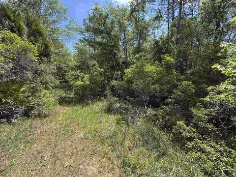 Nnn Burnt Pine Loop, Saint Marks, FL 32355 photo 8