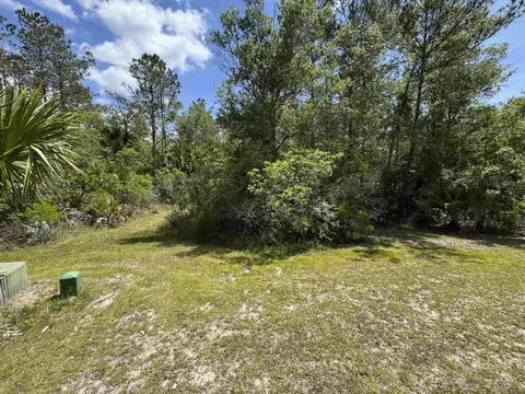 Nnn Burnt Pine Loop, Saint Marks, FL 32355 photo 7