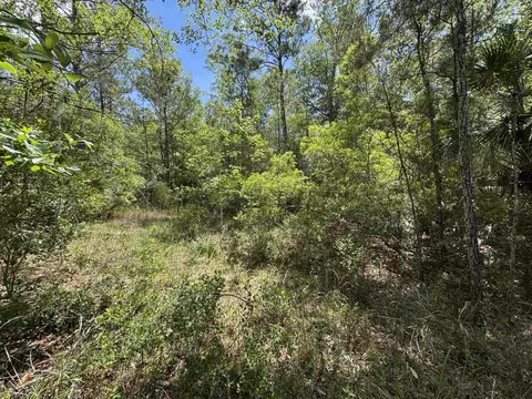 Nnn Burnt Pine Loop, Saint Marks, FL 32355 photo 9