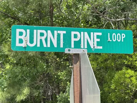 Nnn Burnt Pine Loop, Saint Marks, FL 32355 photo 6