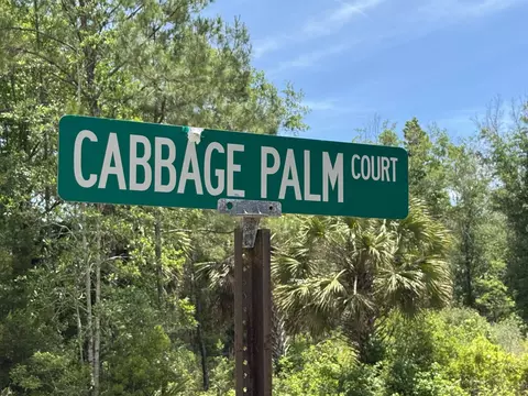 X Cabbage Palm Court, Saint Marks, FL 32355