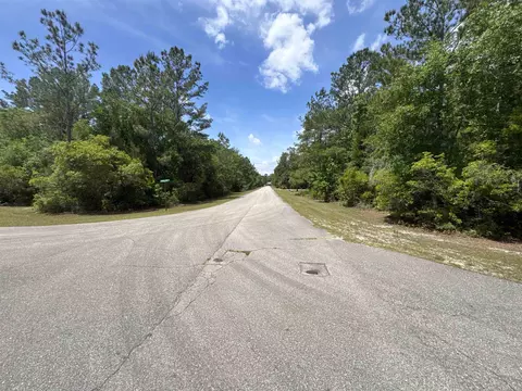 X Old Palmetto Path, Saint Marks, FL 32355 photo 11