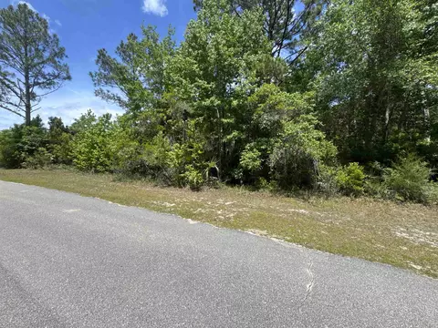 X Old Palmetto Path, Saint Marks, FL 32355 photo 13