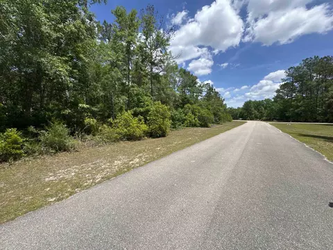 X Old Palmetto Path, Saint Marks, FL 32355 photo 15