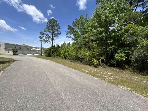 X Old Palmetto Path, Saint Marks, FL 32355 photo 14