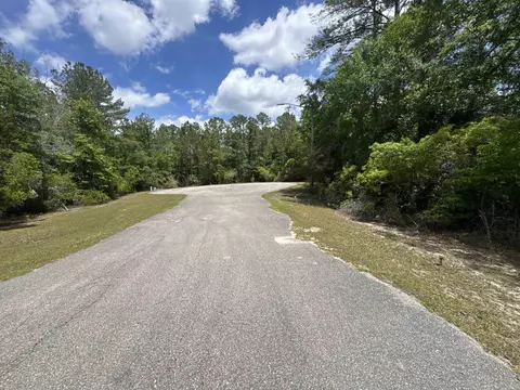 X Old Palmetto Path, Saint Marks, FL 32355 photo 12