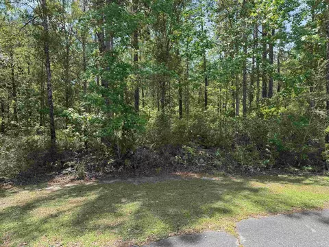 X Boulder Run, Saint Marks, FL 32355 photo 7
