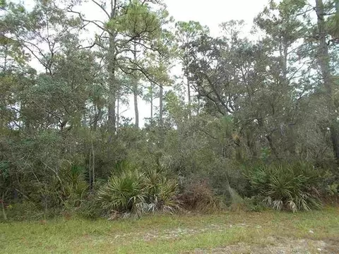 27 Piper Ln #-, Panacea, FL 32346 photo 2