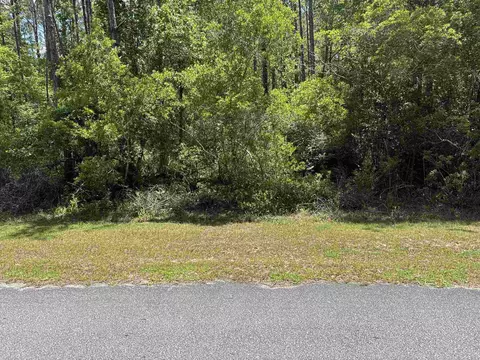 Nnnn Boulder Run, Saint Marks, FL 32355 photo 8