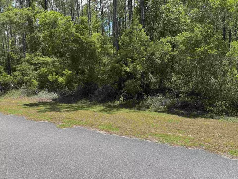 Nnnn Boulder Run, Saint Marks, FL 32355 photo 9