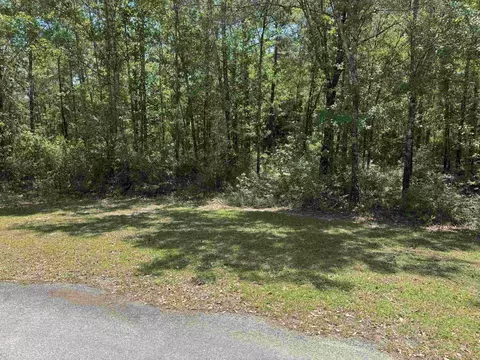 Nnnn Boulder Run, Saint Marks, FL 32355 photo 7