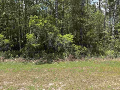 Nnnn Old Palmetto Path, Saint Marks, FL 32355 photo 10