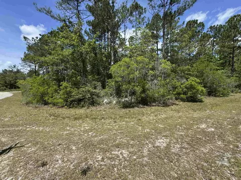 Nnnn Old Palmetto Path, Saint Marks, FL 32355 photo 9