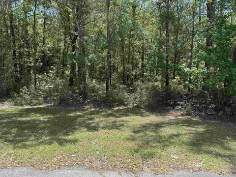 Nnnn Old Palmetto Path, Saint Marks, FL 32355 photo 8