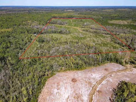000 SW Mtgilead Rd, Lamont, FL 32331
