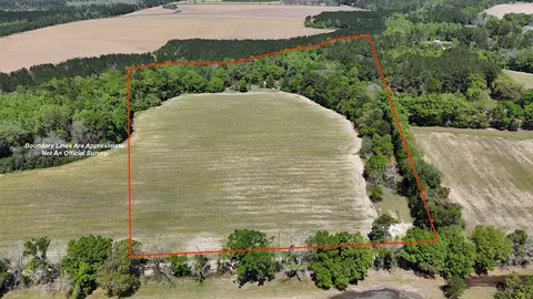 1975 Rook Rd, Other Georgia, GA 31773