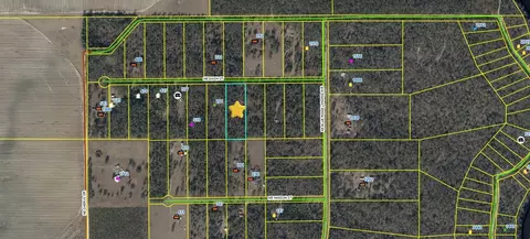 000 NE Dixon Ct, Lee, FL 32059 photo 2