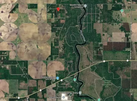 000 NE Dixon Ct, Lee, FL 32059 photo 4