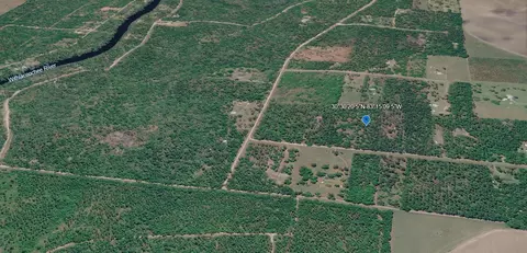 000 NE Dixon Ct, Lee, FL 32059 photo 9
