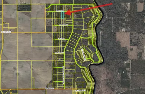 000 NE Dixon Ct, Lee, FL 32059 photo 6