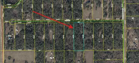 000 NE Dixon Ct, Lee, FL 32059 photo 7