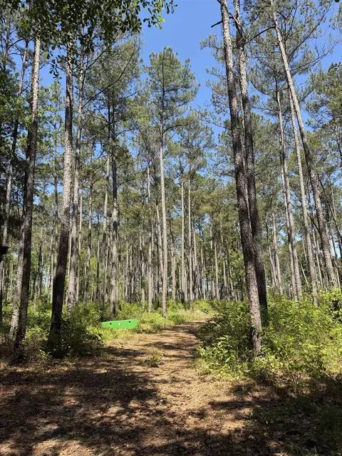 2690 Hardaway Rd, Chattahoochee, FL 32324