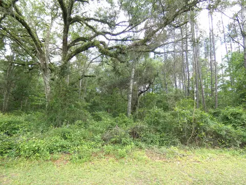 tbd E Cavallo Trl, Monticello, FL 32344