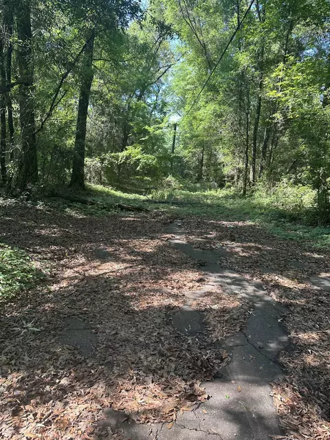 Nn Goldwire Road, Quincy, FL 32351