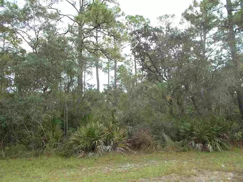 25 Piper Ln, Panacea, FL 32346