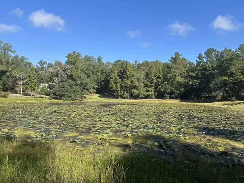 Tram Road, Tallahassee, FL 32311