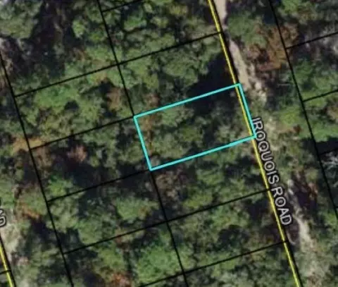 Nn Iroqouis Road, Crawfordville, FL 32327