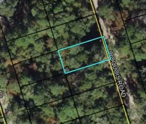 Nn Iroqouis Road, Crawfordville, FL 32327