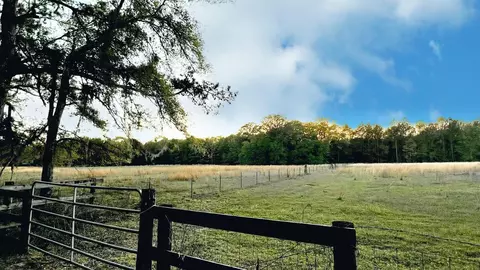 Nn Fanlew Road, Monticello, FL 32344