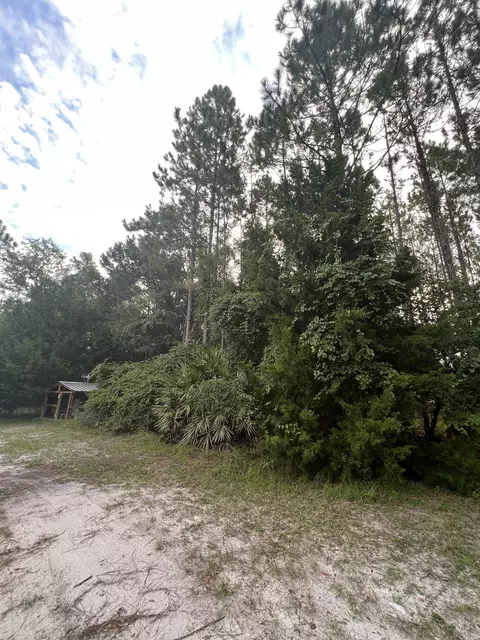 6740 Shelby Rd, Perry, FL 32348 photo 11