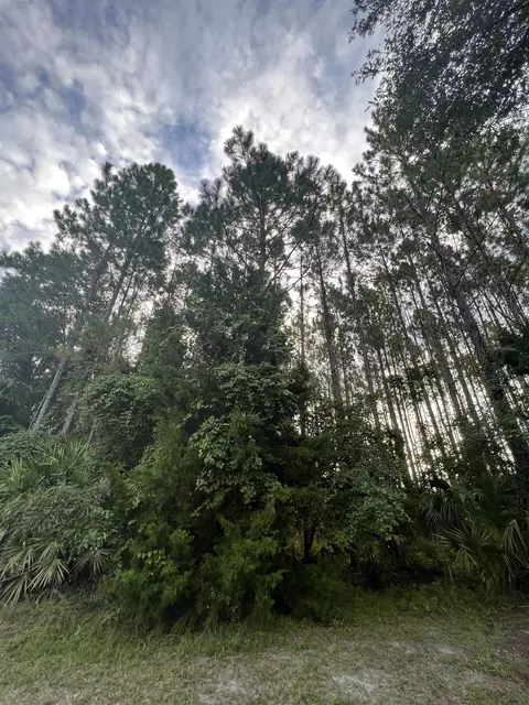 6740 Shelby Rd, Perry, FL 32348 photo 9