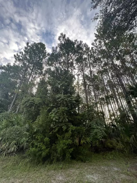 6740 Shelby Rd, Perry, FL 32348 photo 9