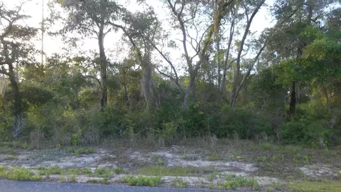 lot26 Pelican Way, Ochlockonee Bay, FL 32346