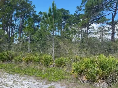 23 Beechcraft Dr, Panacea, FL 32346 photo 2