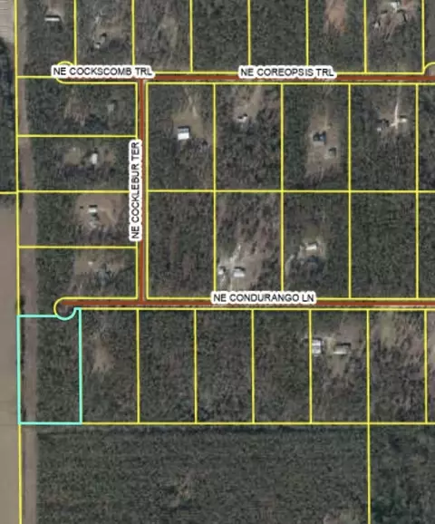 771 NE Condurango Ln, Lee, FL 32059