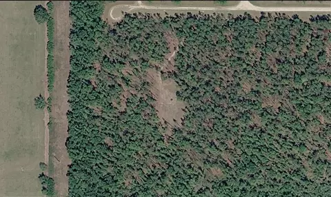 771 NE Condurango Ln, Lee, FL 32059 photo 2